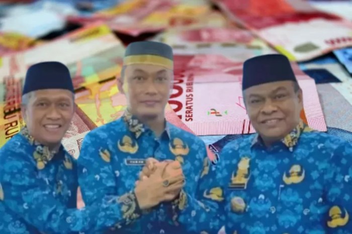 Gaji umk kota palu