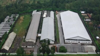 Gaji pt tupai adyamas boyolali