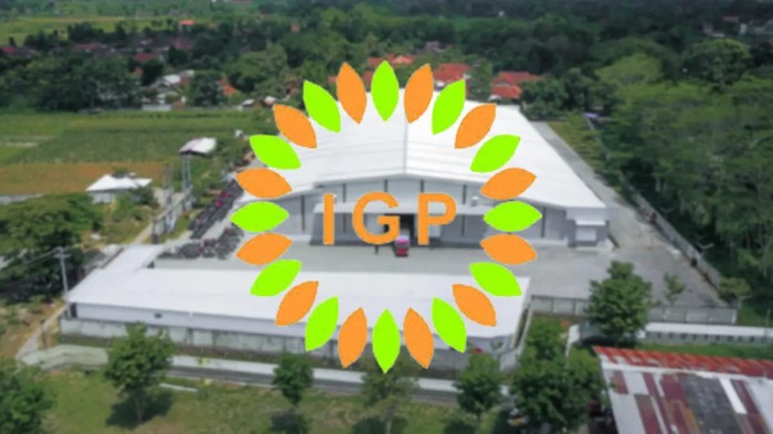 Gaji pt igp internasional