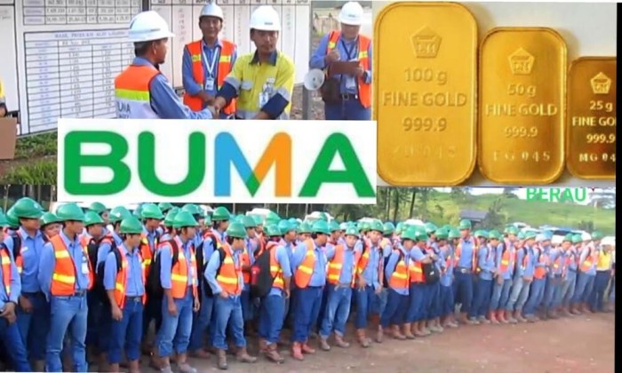 Gaji pt buma kalimantan