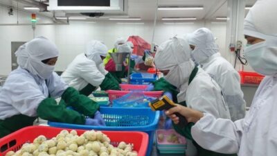 Gaji pt indowooyang cirebon