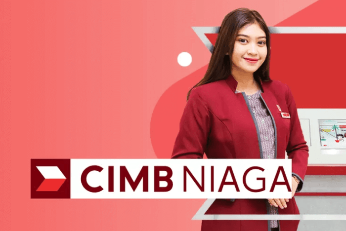 Gaji pegawai bank cimb niaga semua jabatan 2024