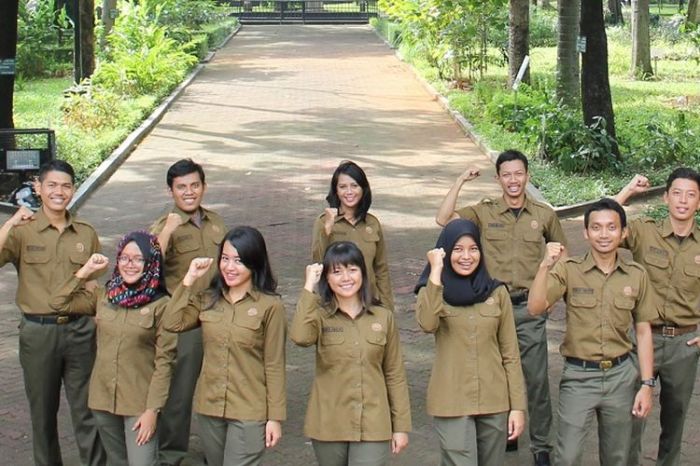 Gaji karyawan perum perhutani semua jabatan terbaru