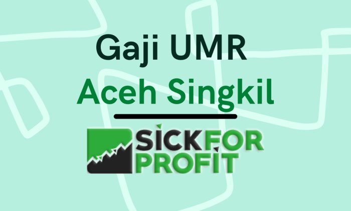 Gaji umr aceh singkil 2024 terbaru