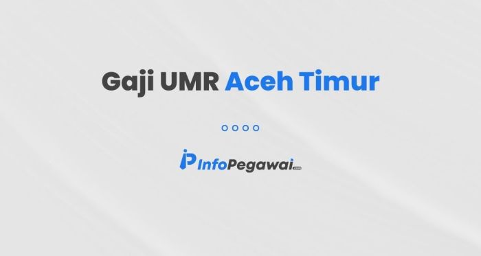 Gaji umr aceh timur 2024 terbaru
