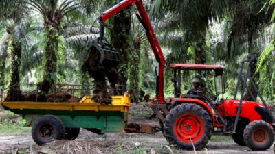 Gaji pt best agro internasional