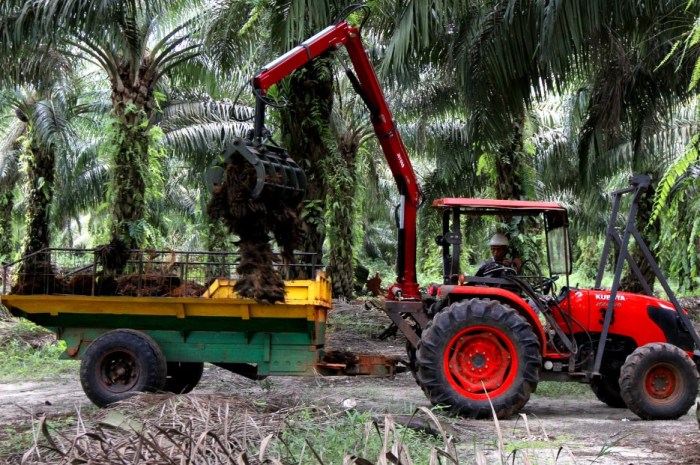 Gaji pt best agro internasional