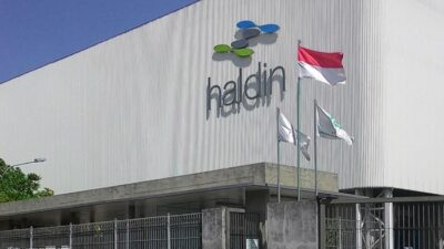 Gaji pt haldin pacific semesta