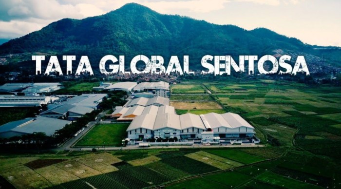 Gaji pt tata global sentosa