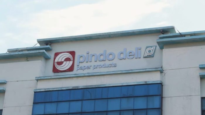 Gaji pt pindo deli karawang