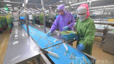 Gaji pt bmi lampung